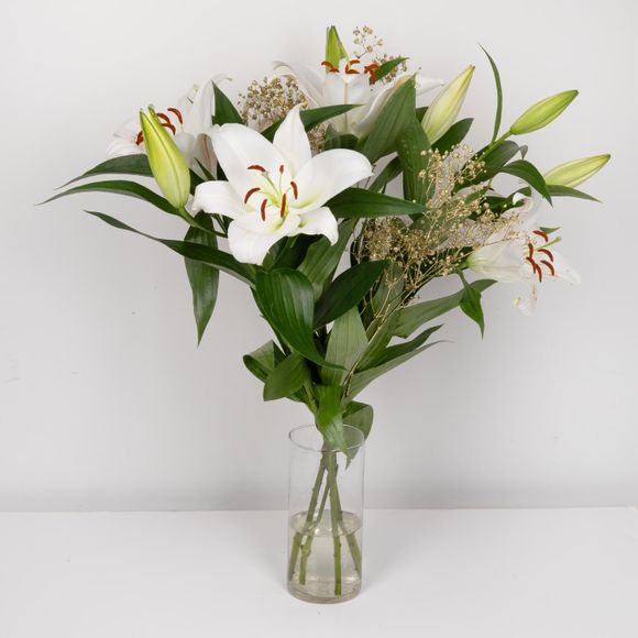 Premium Lilies Specially Selected Aldi Ie