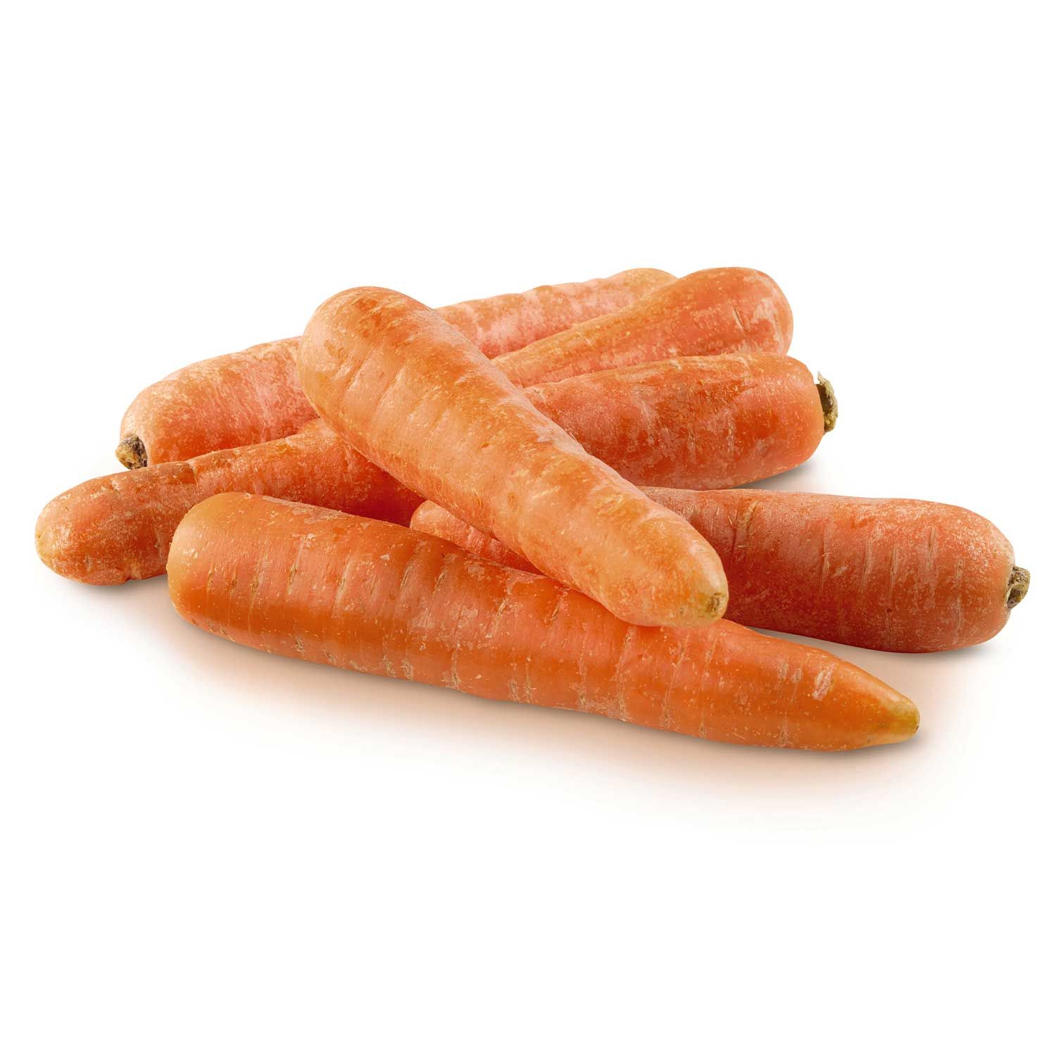 do carrots cause bladder stones in dogs